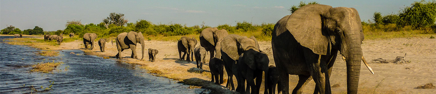 enticing africa tours for individuals